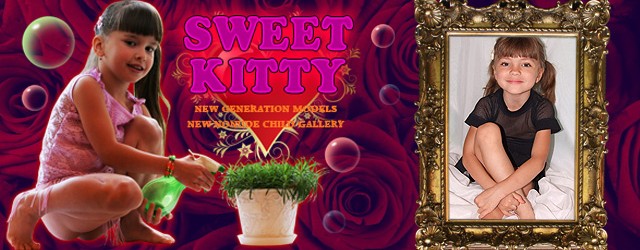 newsimg_wp_kitty